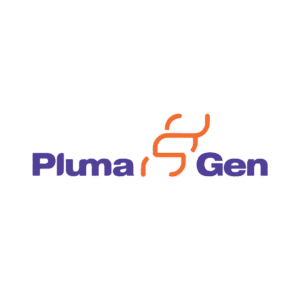 PLUMAGEM